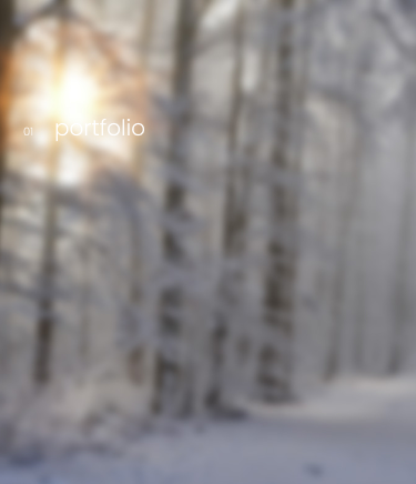 ポートフォリオ